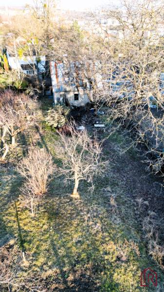 Der Garten beim Ferienhaus in der Palmenstraße im Stadtteil Košice - Sever.