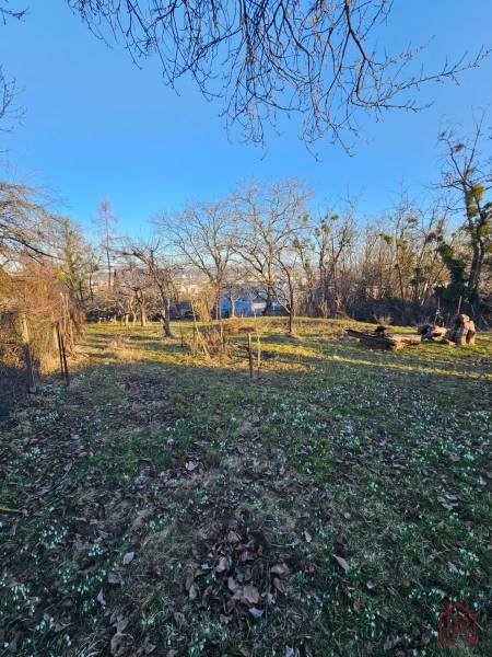 Garten mit Bäumen und Schneeglöckchen in der Hütte auf der Palmová in Košice - Stadtteil Sever.