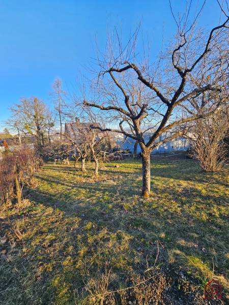 Garten mit kahlen Bäumen in der Palmenstraße, Košice - Stadtteil Sever bei der Hütte.