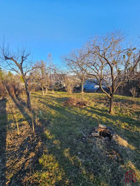 Ein Garten mit Obstbäumen in der Palmenstraße in Košice - Stadtteil Sever.