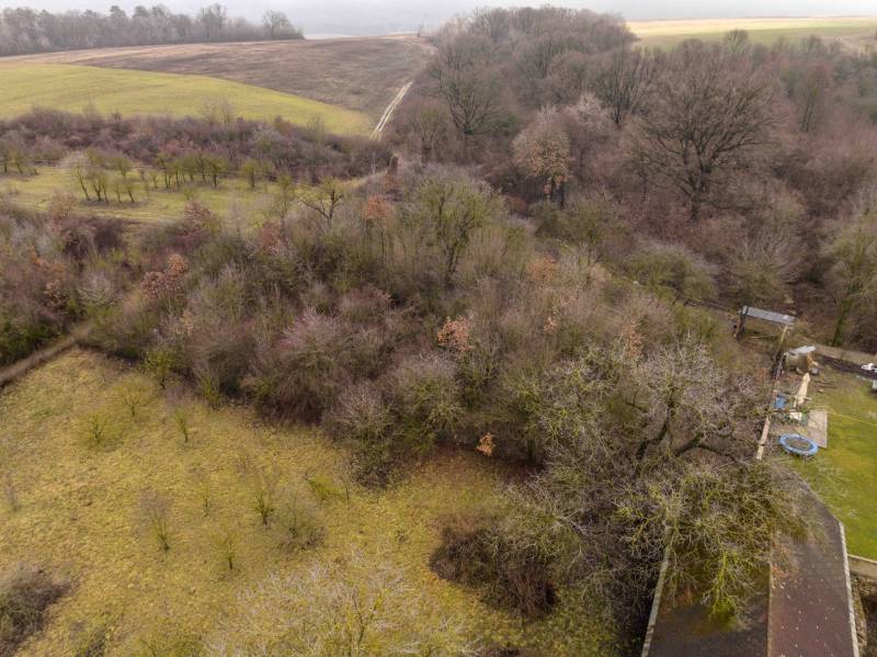 Wiesen und Waldgrundstücke in Gemerské Teplice, ideal für Freizeitaktivitäten.