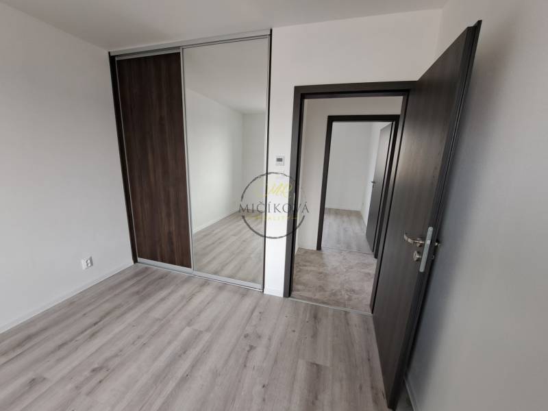 Innenraum eines Einfamilienhauses mit Holzboden, Einbauschrank und dunklen Türen.