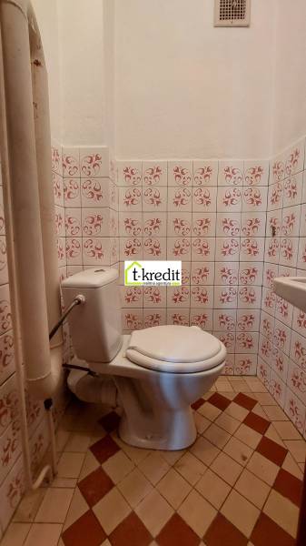 Toilette mit Fliesen und dekorativen Kacheln in einem Einfamilienhaus.