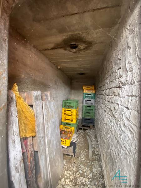 Ein enger Steinspeicher im Einfamilienhaus mit Plastikkisten für Gemüse.