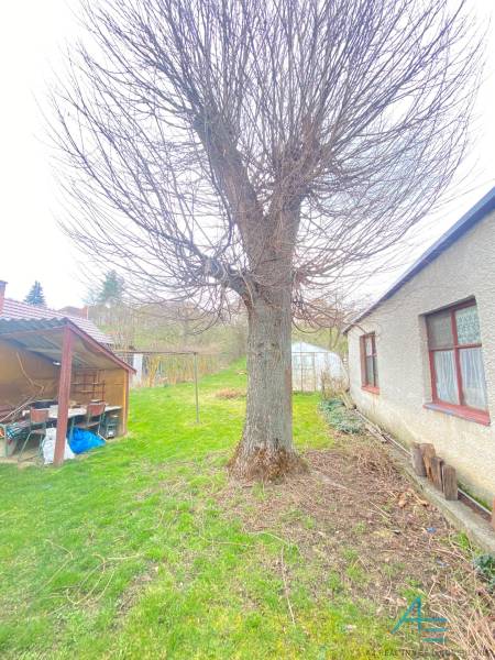 Garten bei einem Einfamilienhaus in der Straße Turá lúka in Myjava mit einem großen Baum.