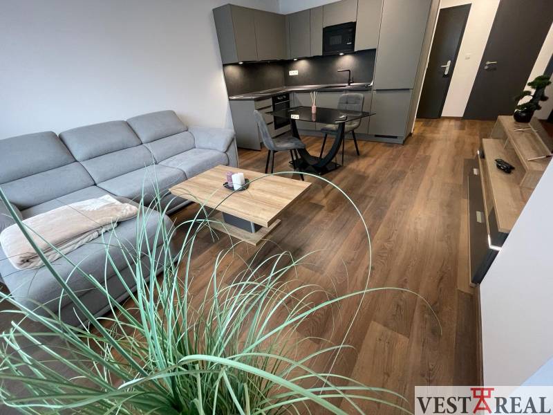 Helles Wohnzimmer mit Küche in Novomestska, Holzboden, geeignet für eine 2-Zimmer-Wohnung.