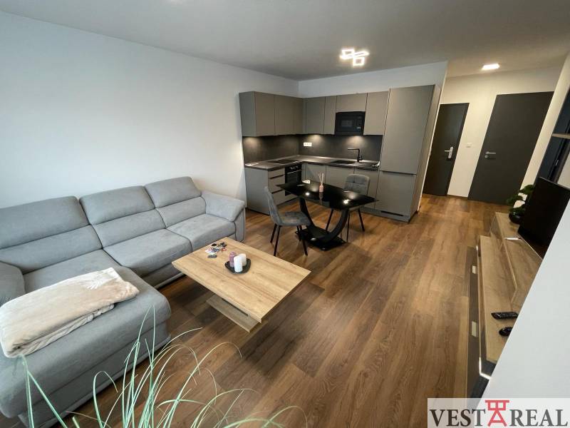 Wohnzimmer in der Novomestská Straße mit Küche, 2-Zimmer-Wohnung, Holzboden, graues Sofa.