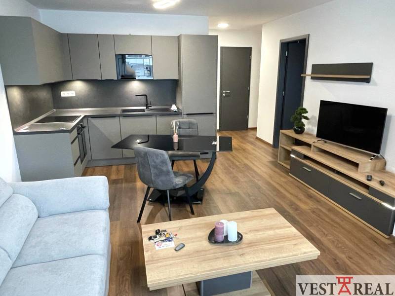 Wohnzimmer mit Küchenzeile in der Novomestská Straße, 2-Zimmer-Wohnung, Holzboden, TV-Schrank.