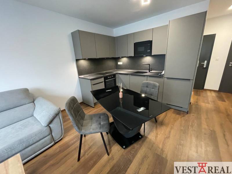 2-Zimmer-Wohnung mit Küche und Sofa auf Holzboden in der Novomestská Straße.