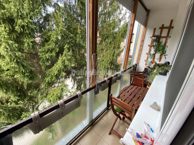 Ein Balkon in einer 4-Zimmer-Wohnung mit Holzmöbeln und Blick auf Nadelbäume.