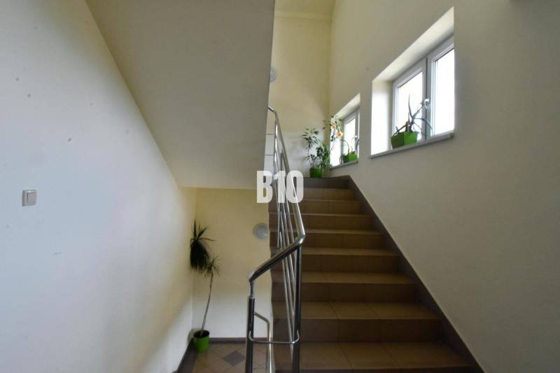 Eine Treppe mit Geländer und Pflanzen neben den Fenstern erhöht die natürliche Beleuchtung der Büros.