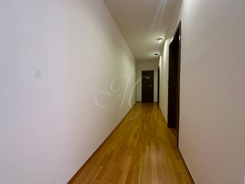 Flur mit Eingangstür und Boden in Holzoptik in einer 4-Zimmer-Wohnung.