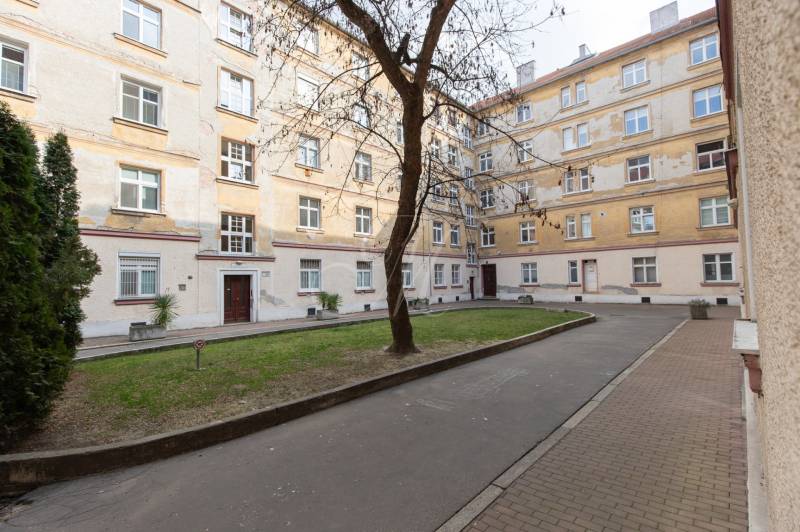 Wohnkomplex mit Baum und Rasen in der Medená-Straße in Bratislava, Altstadt.