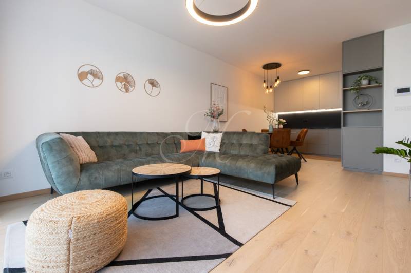 Wohnzimmer in einer Zweizimmerwohnung mit Sofa, Couchtischen und einem Boden in Holzoptik.