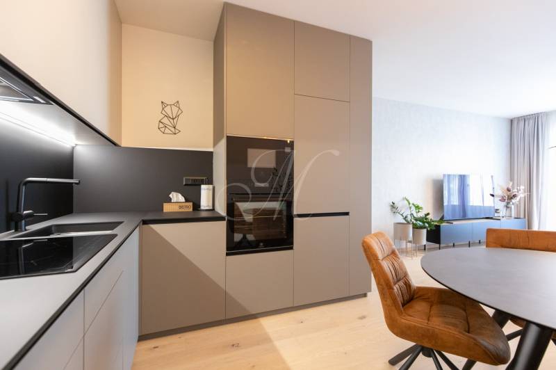 Küchenzeile mit Elektrogeräten und Esstisch in einer 2-Zimmer-Wohnung, Boden mit Holzdekor.