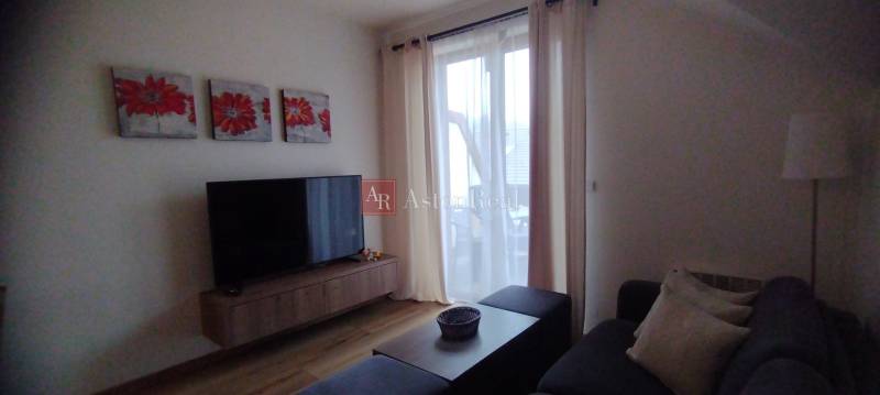 Wohnzimmer mit Holzboden, Fernseher und Sofa, 2-Zimmer-Wohnung.
