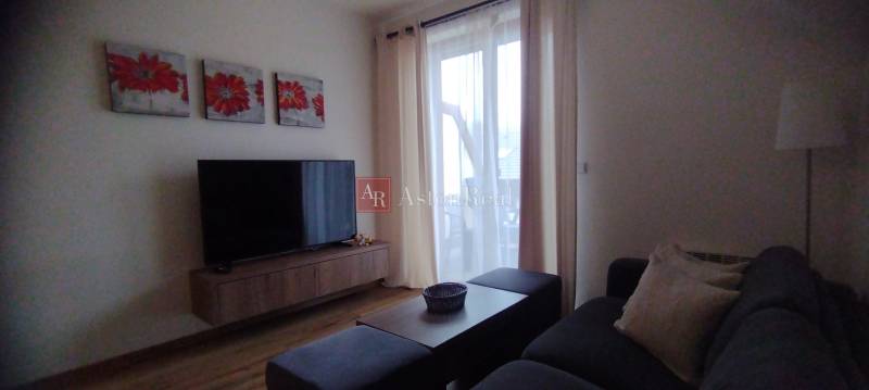 Wohnzimmer mit Fernseher, Holzboden und bequemer Couch in einer Zweizimmerwohnung.