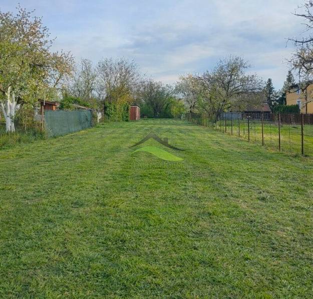 Ein Garten in Michalovce bei einem Einfamilienhaus mit gemähtem Rasen und Bäumen.