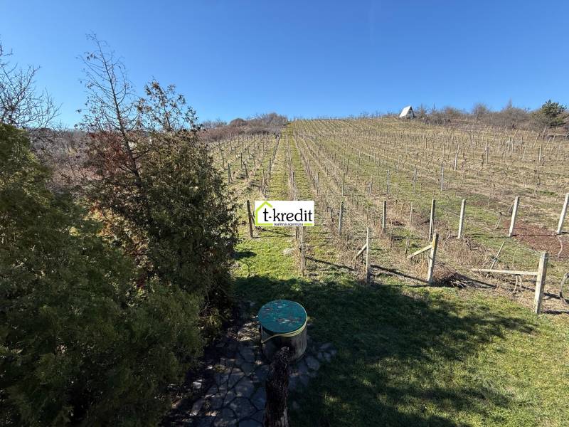 In Zlaté Moravce gibt es einen Weinberg mit einer Hütte und einem gepflegten Garten.