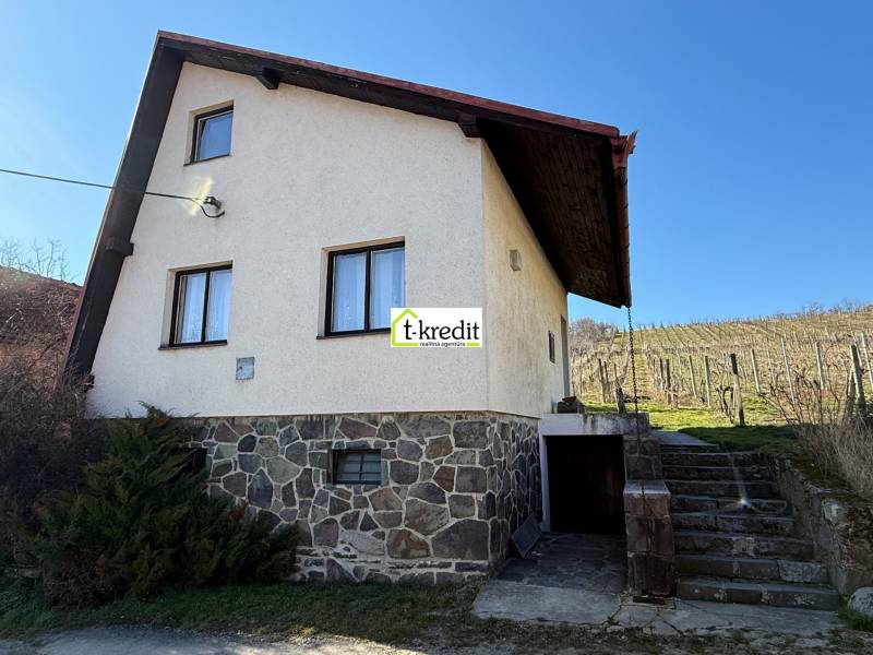 Ein Ferienhaus in Zlaté Moravce mit einem Steinfundament und einem Weinberg am Hang.