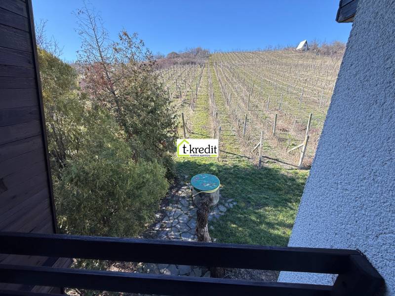 Blick von der Hütte auf den Weinberg in Zlaté Moravce mit Bäumen und blauem Himmel.