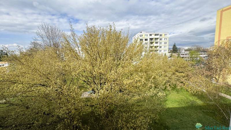 Blick auf den grünen Hof von der Škultétyho-Straße in Trebišov, umgeben von Bäumen.