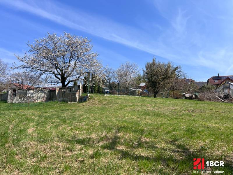 Blühende Bäume und Rasenfläche auf einem Wohnbaugrundstück in Marianka in der Budovateľská-Straße.