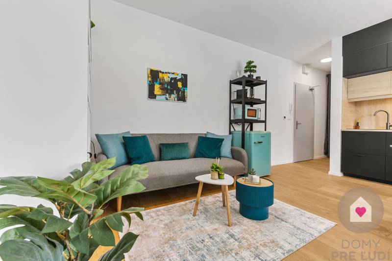 Helles Wohnzimmer in einer Einzimmerwohnung mit Sofa und Pflanze, Boden mit Holzdekor.