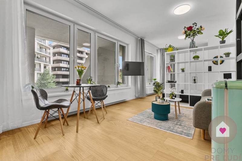 Wohnzimmer einer Einzimmerwohnung mit großen Fenstern, Holzboden und Pflanzen.