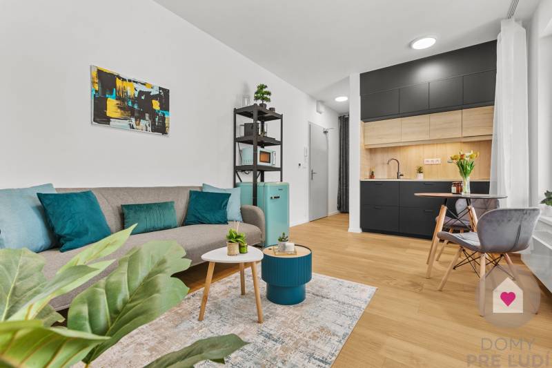 Wohnzimmer mit Sofa, dekorativen Kissen und Holzboden in einer Einzimmerwohnung.
