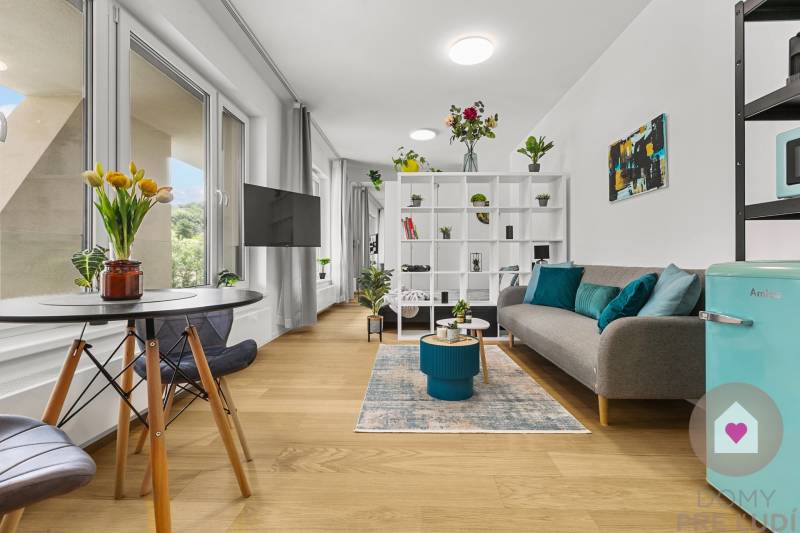 Helle 1-Zimmer-Wohnung mit Holzboden, Sofa und Essecke.