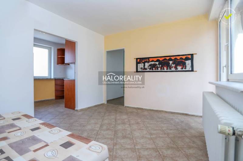 Innenraum eines Einfamilienhauses mit gefliestem Boden, einem Bild von Elefanten und Blick in die Küche.