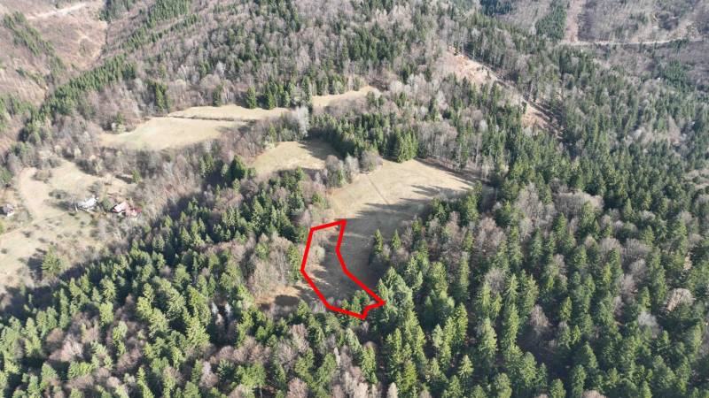 Wiesen und Wälder in Lazy pod Makytou erstrecken sich zwischen dichten Bäumen.