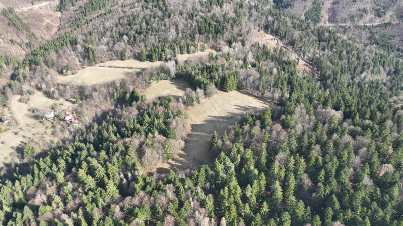 Landwirtschaftliche und forstwirtschaftliche Grundstücke in Lazy pod Makytou, umgeben von Wäldern und Grasflächen.