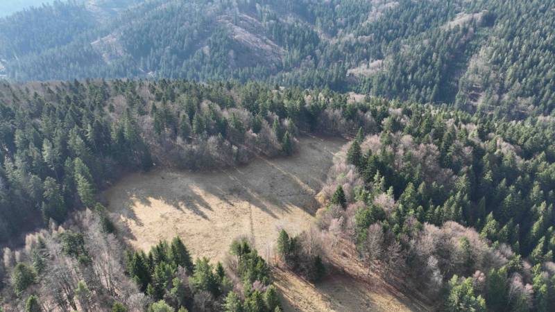 Luftaufnahme von landwirtschaftlichen und forstwirtschaftlichen Flächen in Lazy pod Makytou, umgeben von dichtem Wald.
