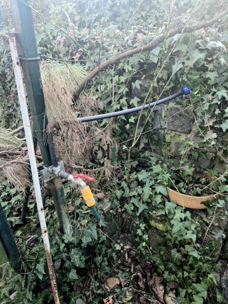 Nitra, Gärten: Gartenschlauch und Wasserhahn in überwucherter Umgebung.