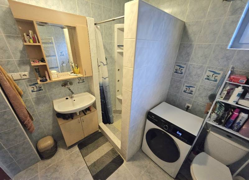 Badezimmer in einem Einfamilienhaus mit Waschbecken, Duschkabine, Waschmaschine und WC.