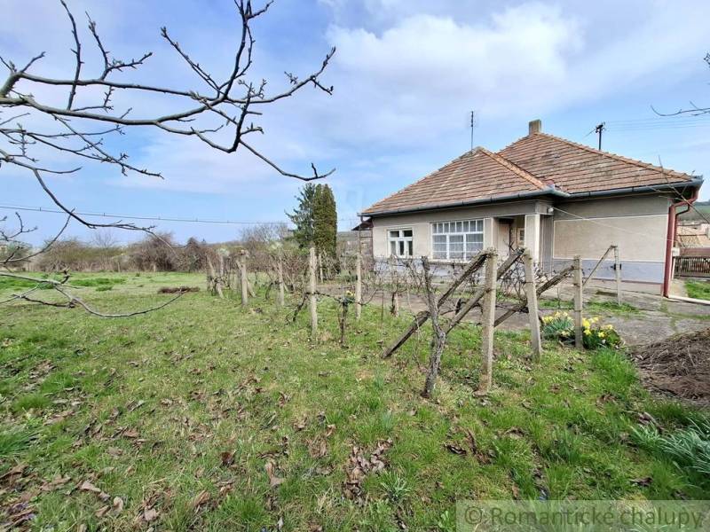 Ein Einfamilienhaus in Ľuba, umgeben von einem Garten und Weinreben, mit einem Holzdach.
