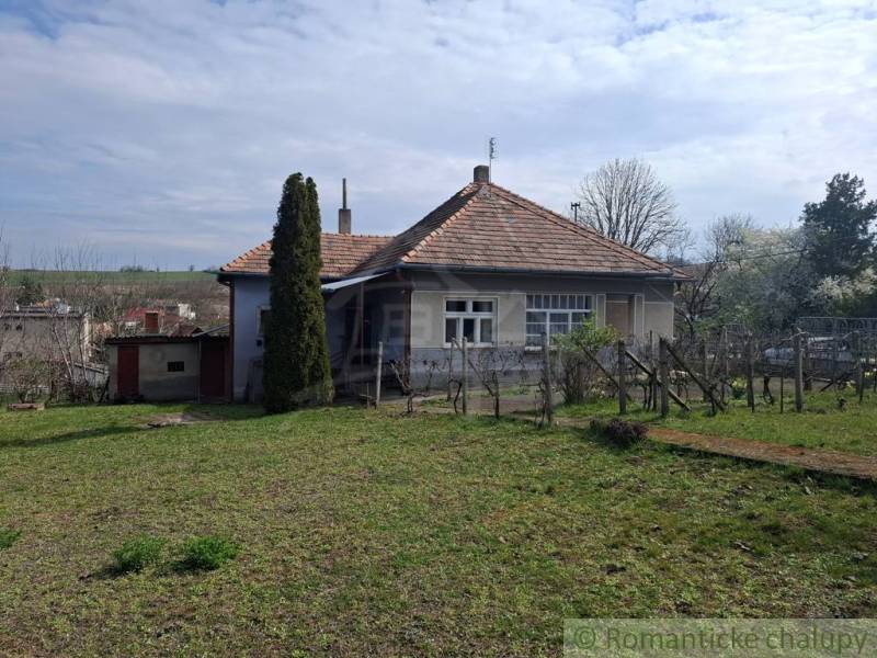 Ein Einfamilienhaus in Ľubá, umgeben von einem Garten mit Weinreben und einem Nadelbaum vor dem Haus.
