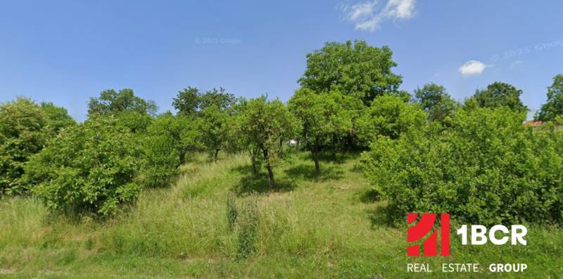 Grüne landwirtschaftliche und forstwirtschaftliche Flächen in Rudník mit vielen Bäumen und Sträuchern.