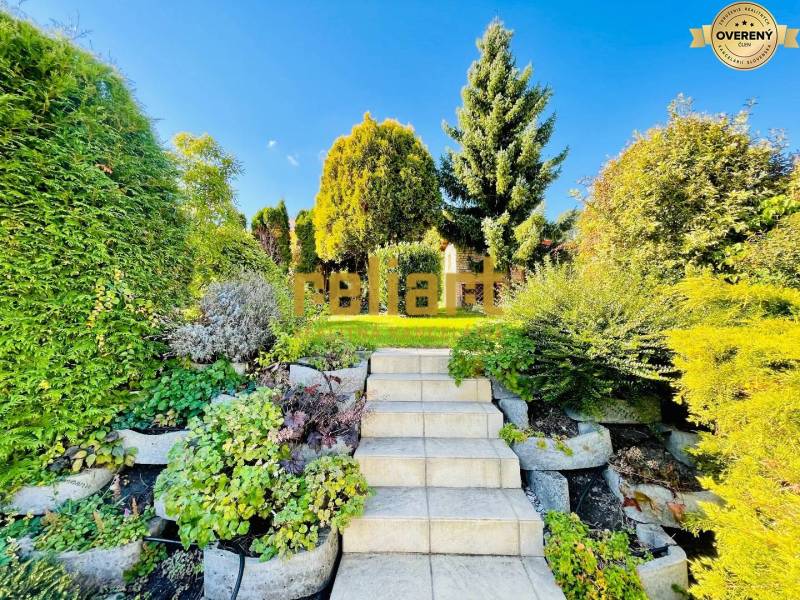 Treppen, die in den Garten eines Einfamilienhauses führen, umgeben von Grün und Bäumen.