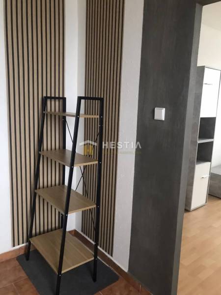 Interieur einer 2-Zimmer-Wohnung mit Regal und Wänden in Holzdekor.