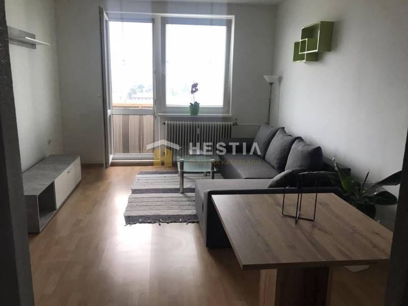 Wohnzimmer in einer 2-Zimmer-Wohnung mit Holzboden und Sofa.
