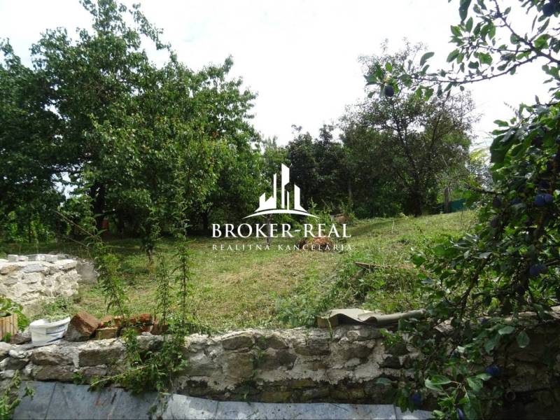 Der Garten beim Einfamilienhaus in Goncruszka mit alten Bäumen und einer Steinmauer.