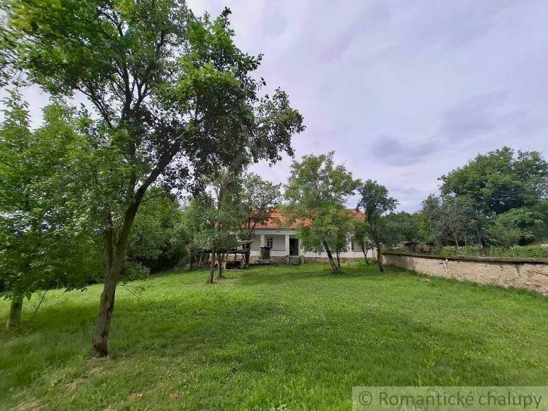 Ein Einfamilienhaus in Dobroč mit einem weitläufigen Garten, umgeben von Bäumen und einer Steinmauer.