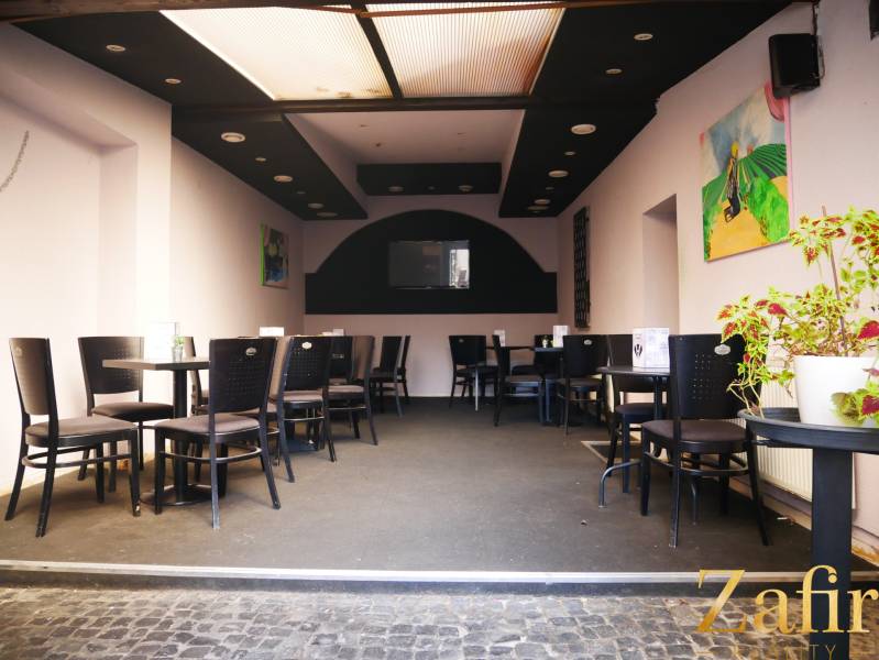 Innenraum von Gastronomiebereichen mit Sitzgelegenheiten, Dekorationen und Zimmerpflanze.