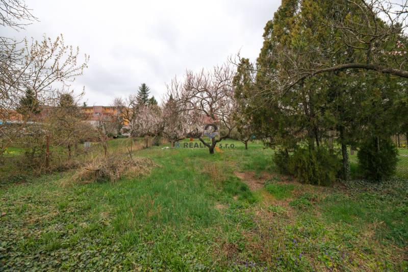 Garten rund um das Einfamilienhaus in der Zelenečská Straße in Trnava mit Obstbäumen.