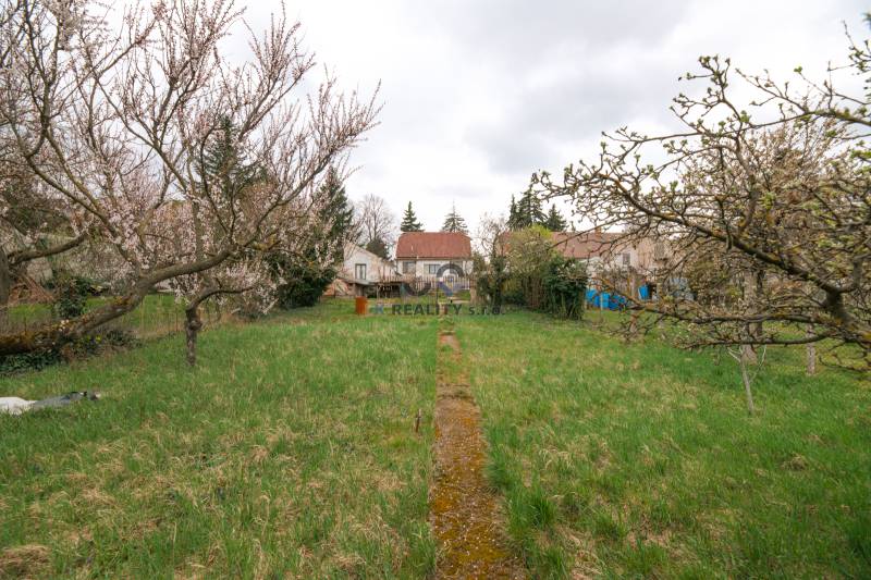 Vorgarten mit Obstbäumen bei einem Einfamilienhaus in der Zelenečská-Straße in Trnava.
