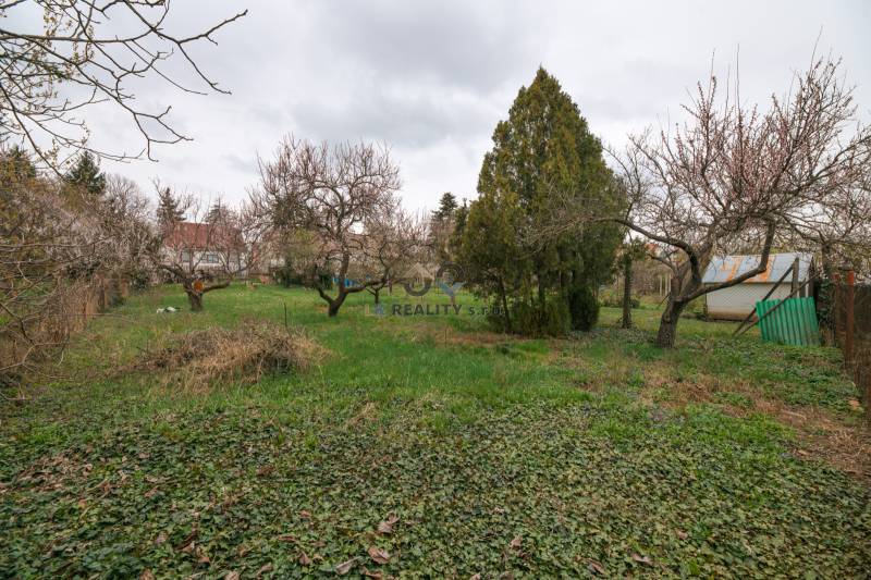 Ein Garten mit Rasenfläche und Bäumen neben einem Einfamilienhaus in der Zelenečská-Straße in Trnava.