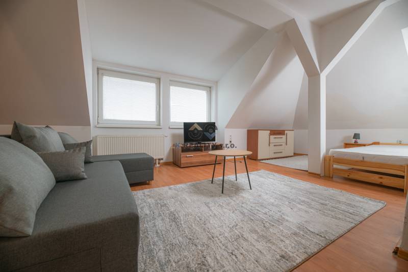 Dachzimmer in einer 2-Zimmer-Wohnung mit Sofa, Teppich und Holzboden.